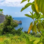 Casa Do Jardim Botanico 度假居 São Roque do Faial