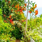 Casa Do Jardim Botanico 度假居 *