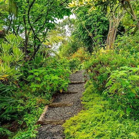 Casa Do Jardim Botanico *