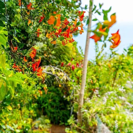 Casa Do Jardim Botanico Ferienhaus *