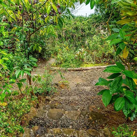 Casa Do Jardim Botanico