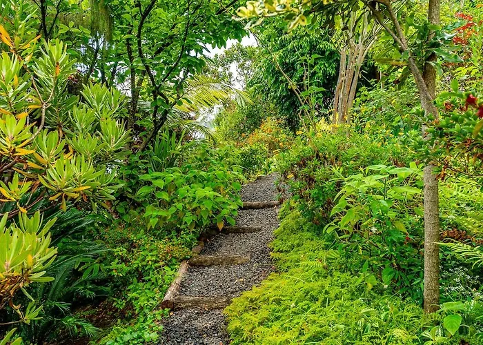 Casa Do Jardim Botanico *