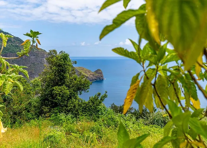 Casa Do Jardim Botanico Holiday home Sao Roque Do Faial