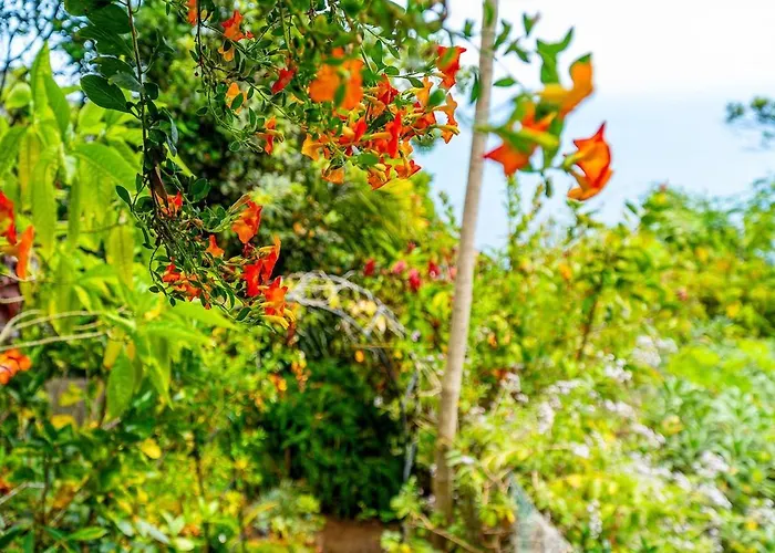 Casa Do Jardim Botanico Holiday home *