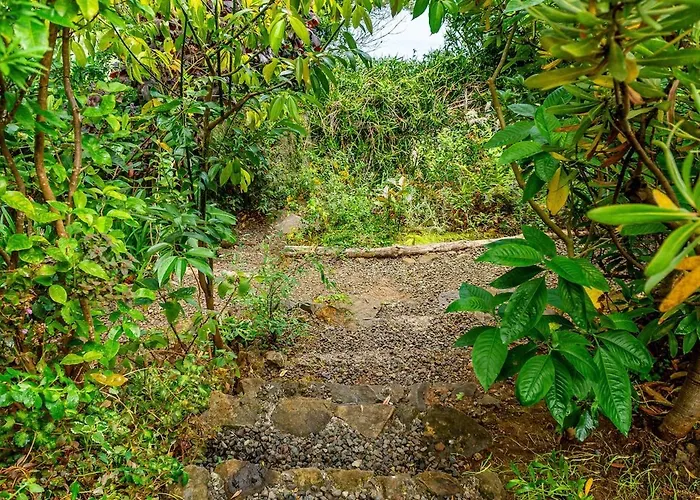 Casa Do Jardim Botanico