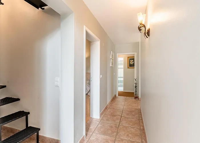 Casa Do Jardim Botanico * São Roque do Faial